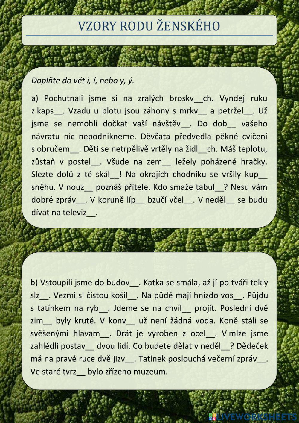 Vzory podstatných jmen - rod ženský