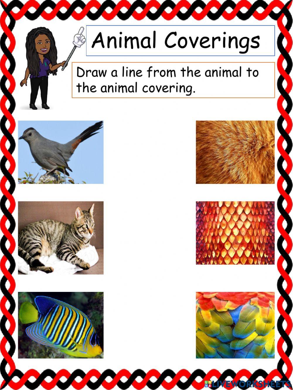 Animal Covering