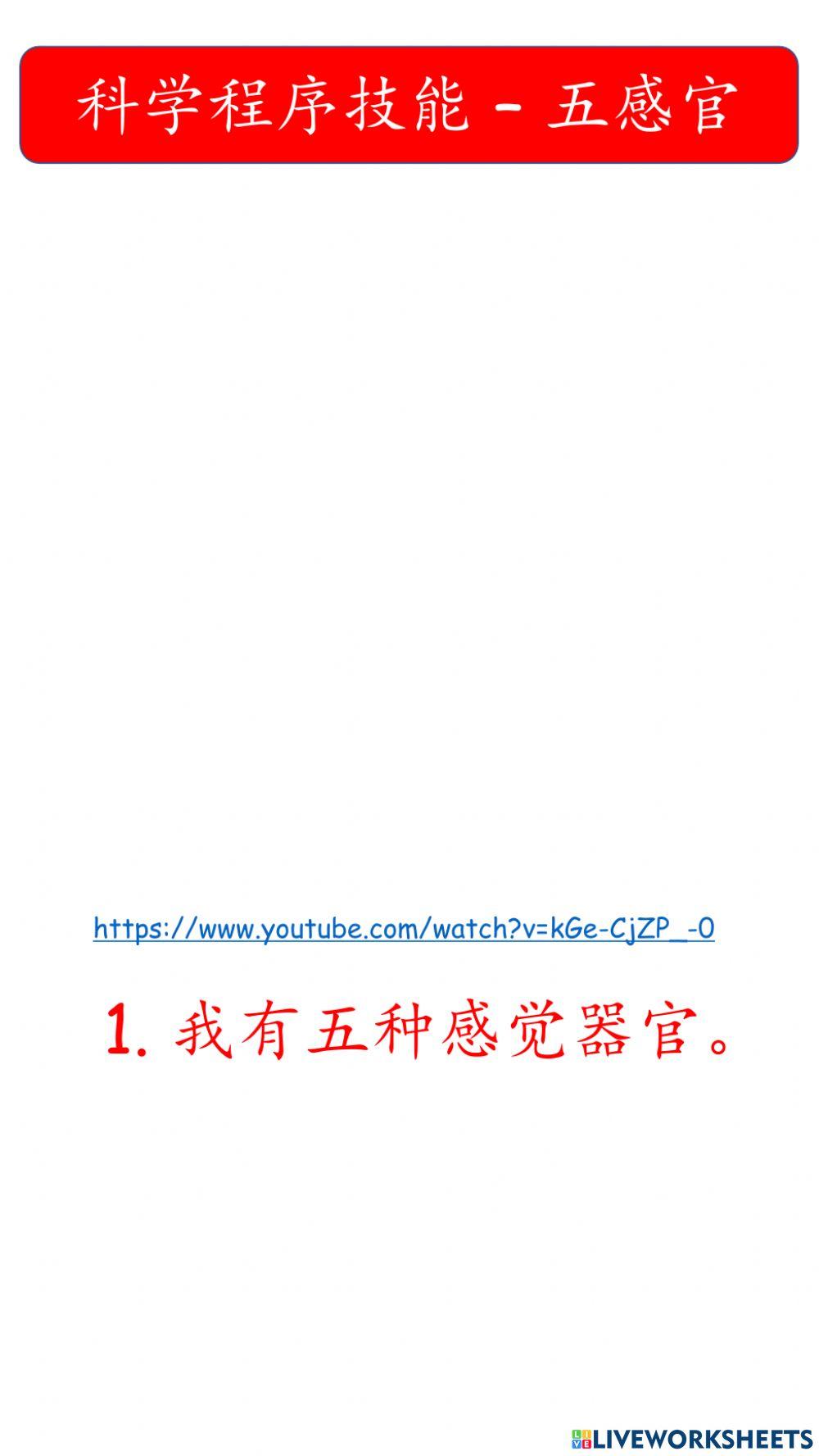 一年级科学程序技能 - 观察，沟通