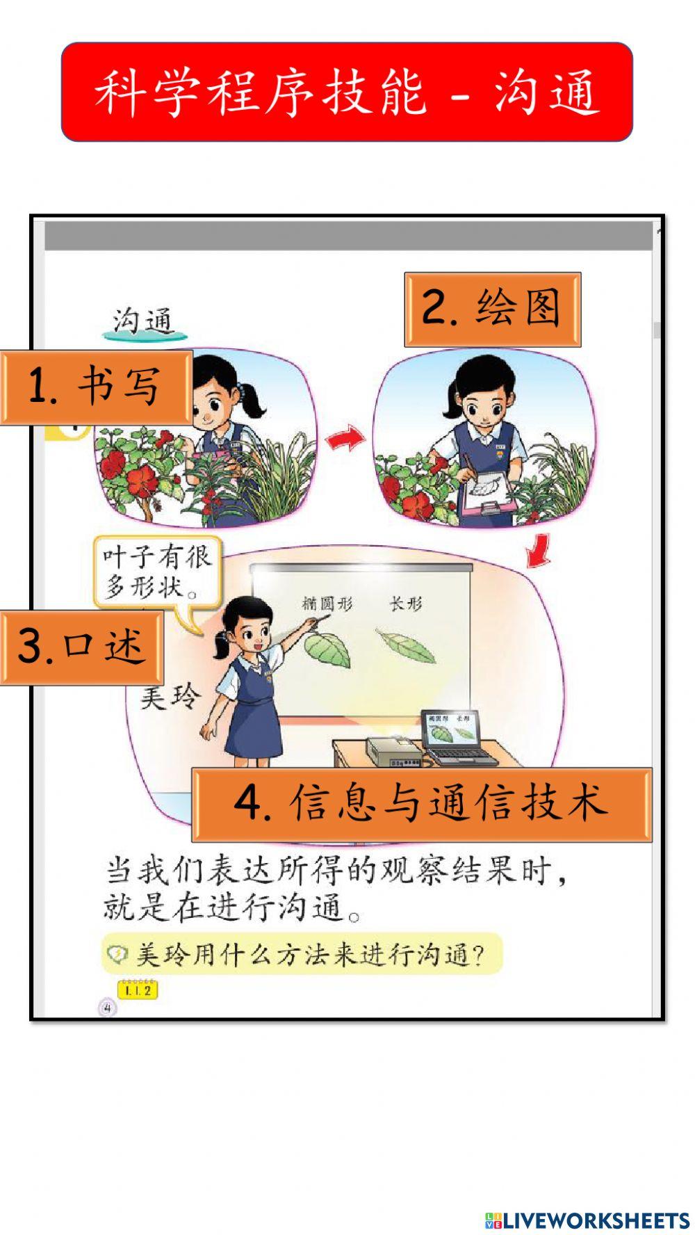 一年级科学程序技能 - 观察，沟通