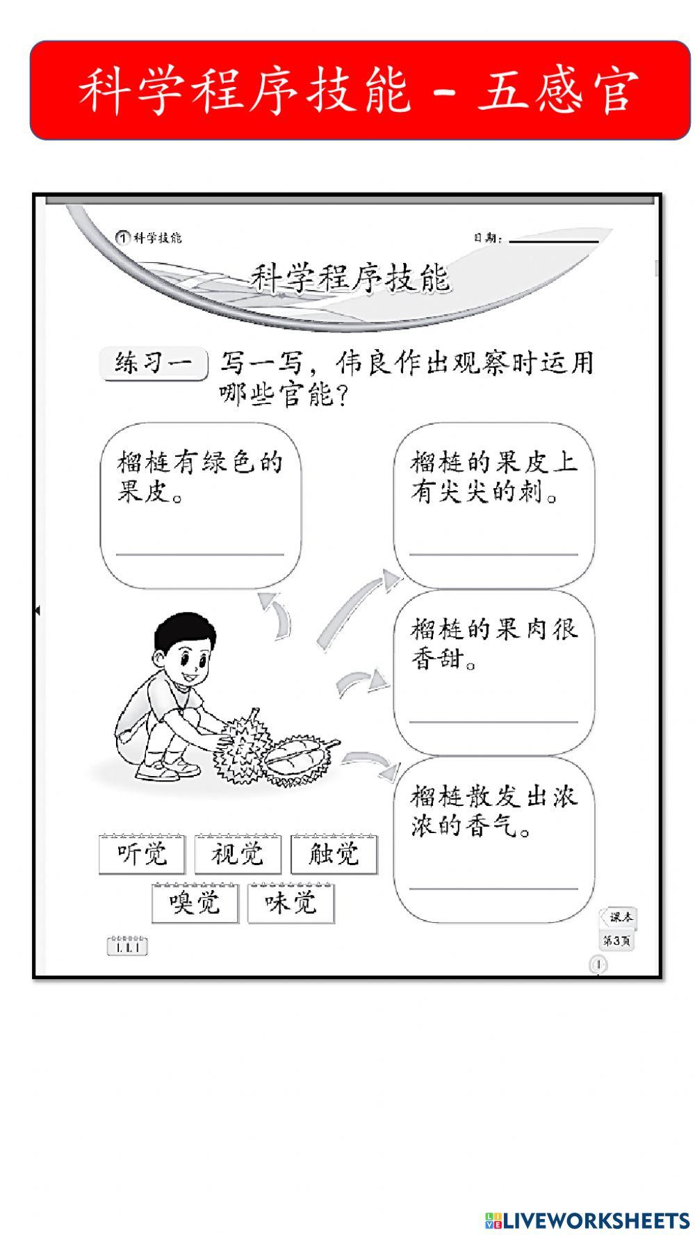 一年级科学程序技能 - 观察，沟通