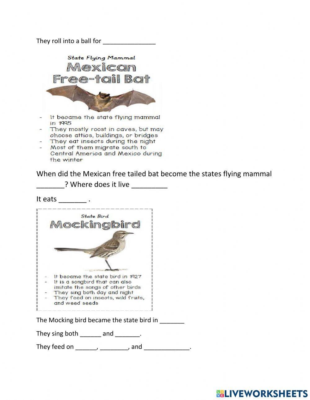 Texas state symbols booklet