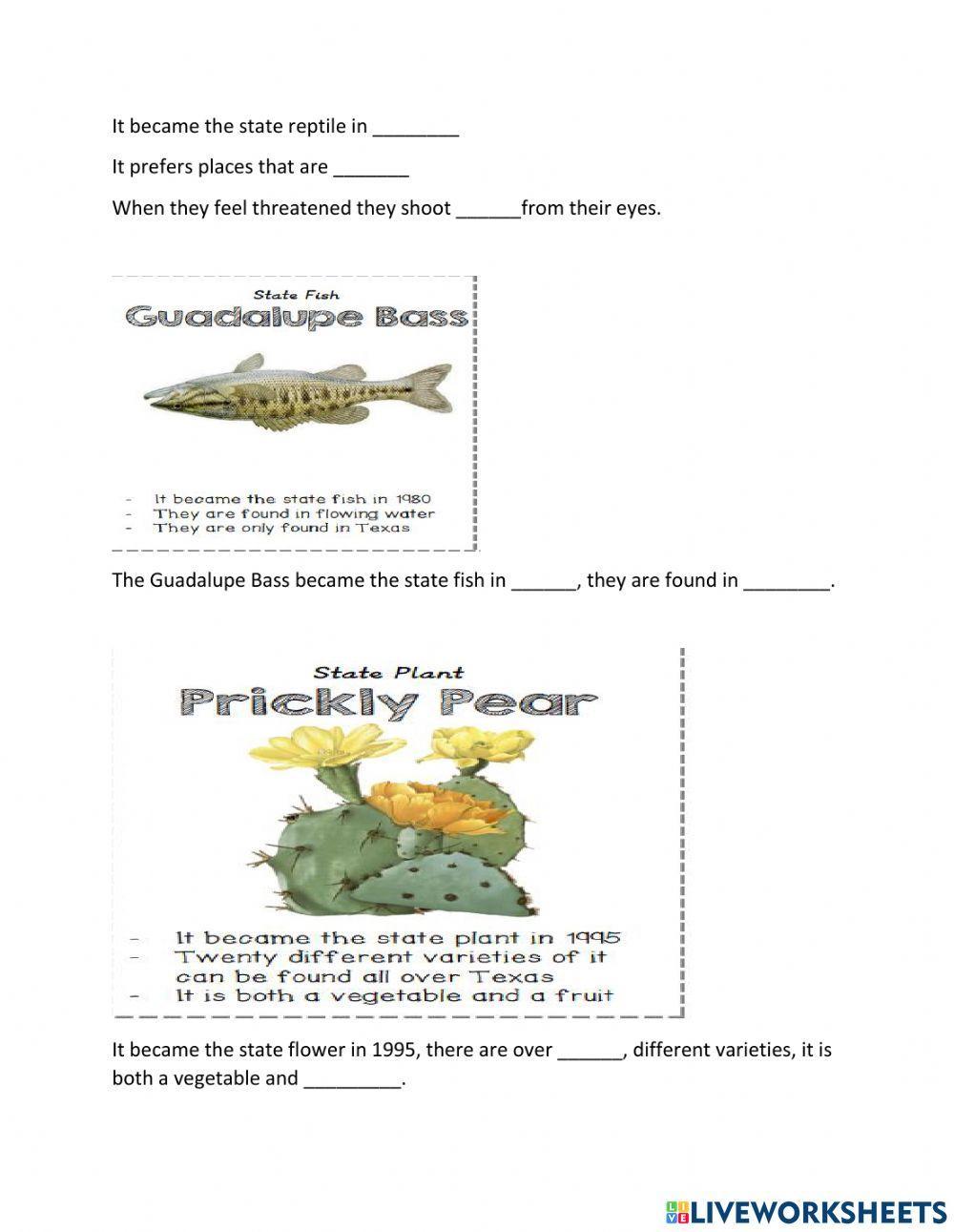 Texas state symbols booklet