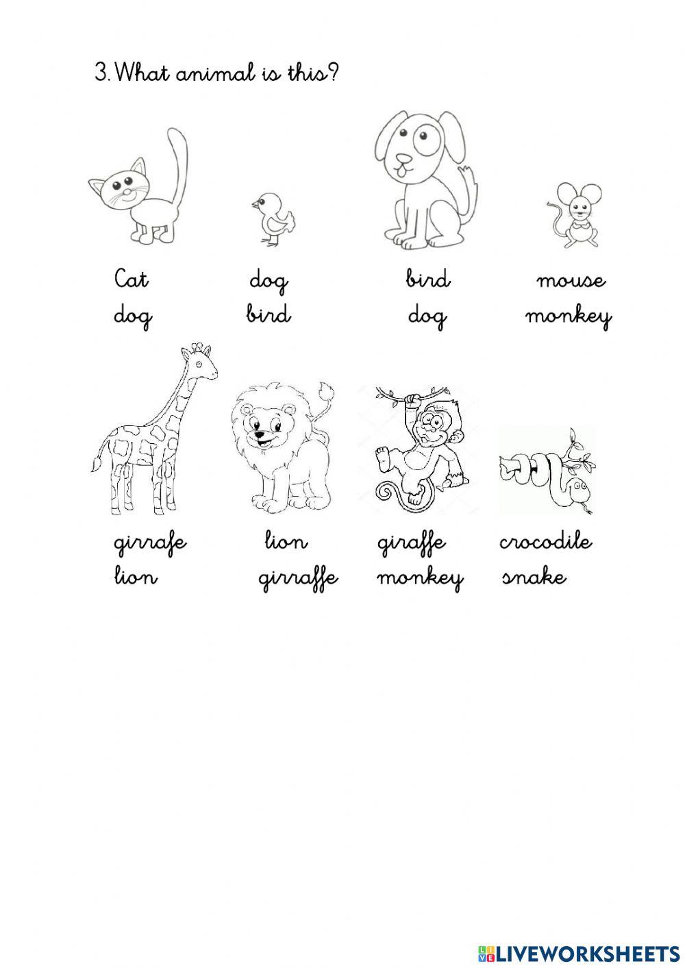 Colours, numbers and animals