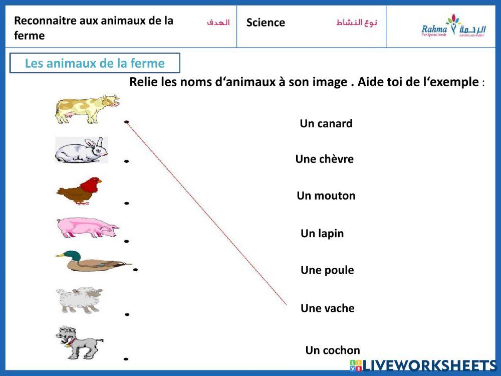 Science les animaux