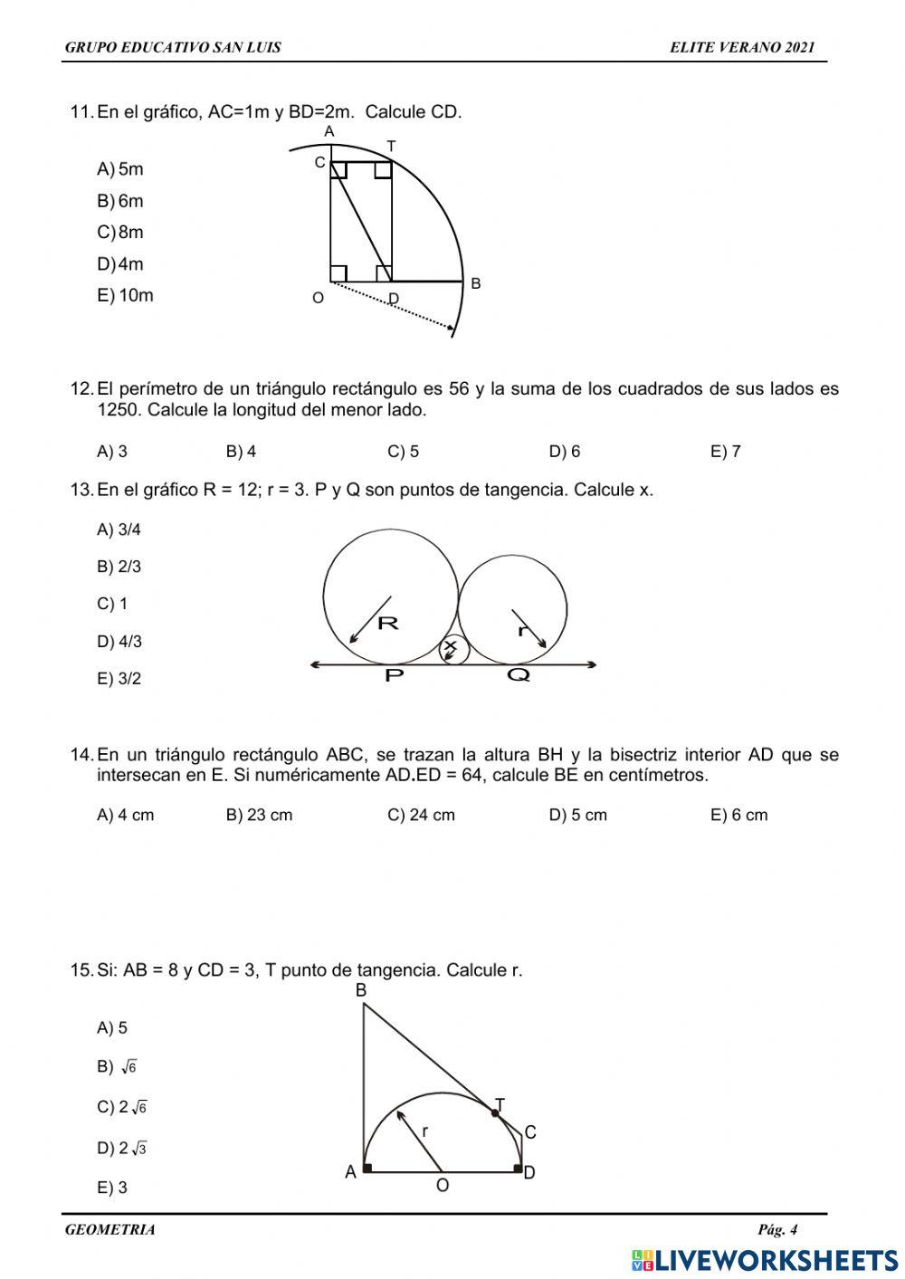 Relaciones metricas repaso