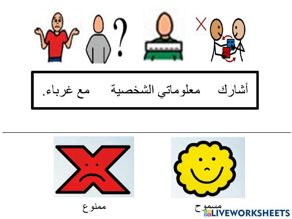 الانترنت الامن