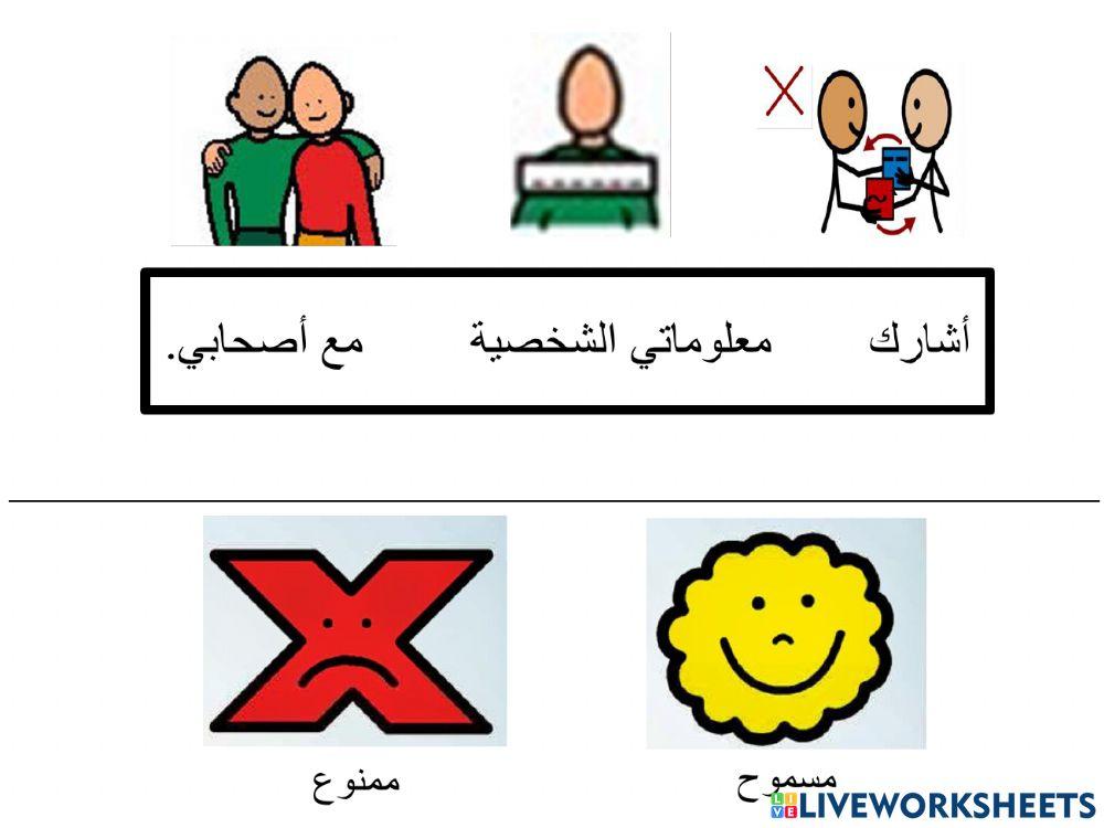 الانترنت الامن