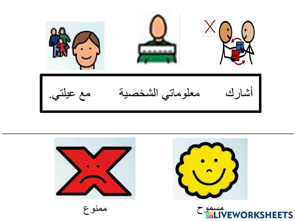 الانترنت الامن