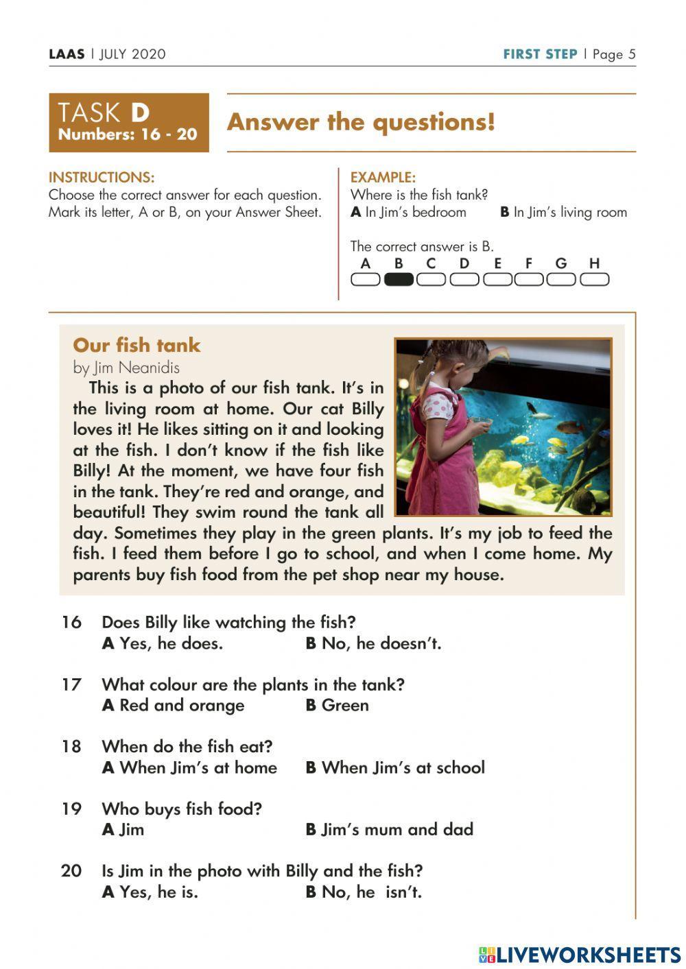 NEW REFORMED Palso LAAS first step 2020