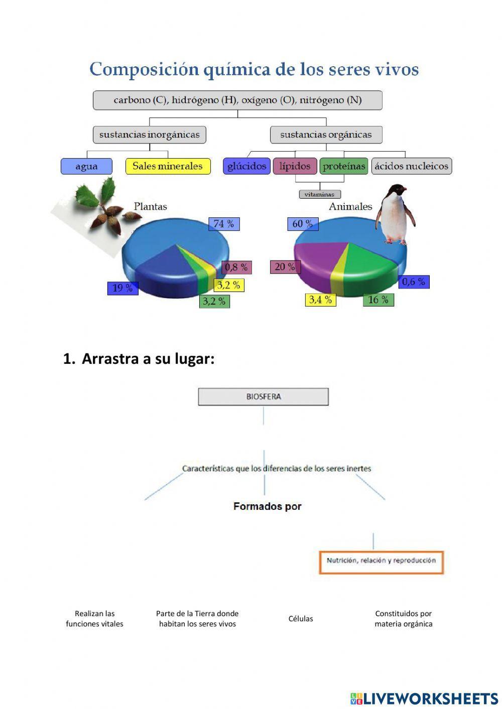 Composición de los seres vivos
