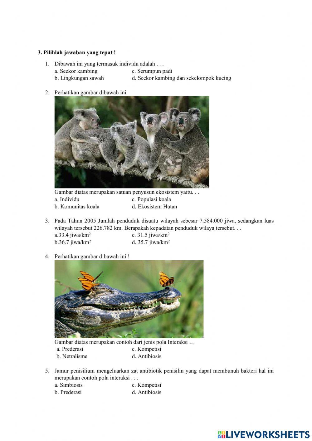 LKPD Pola Interaksi dalam ekosistem