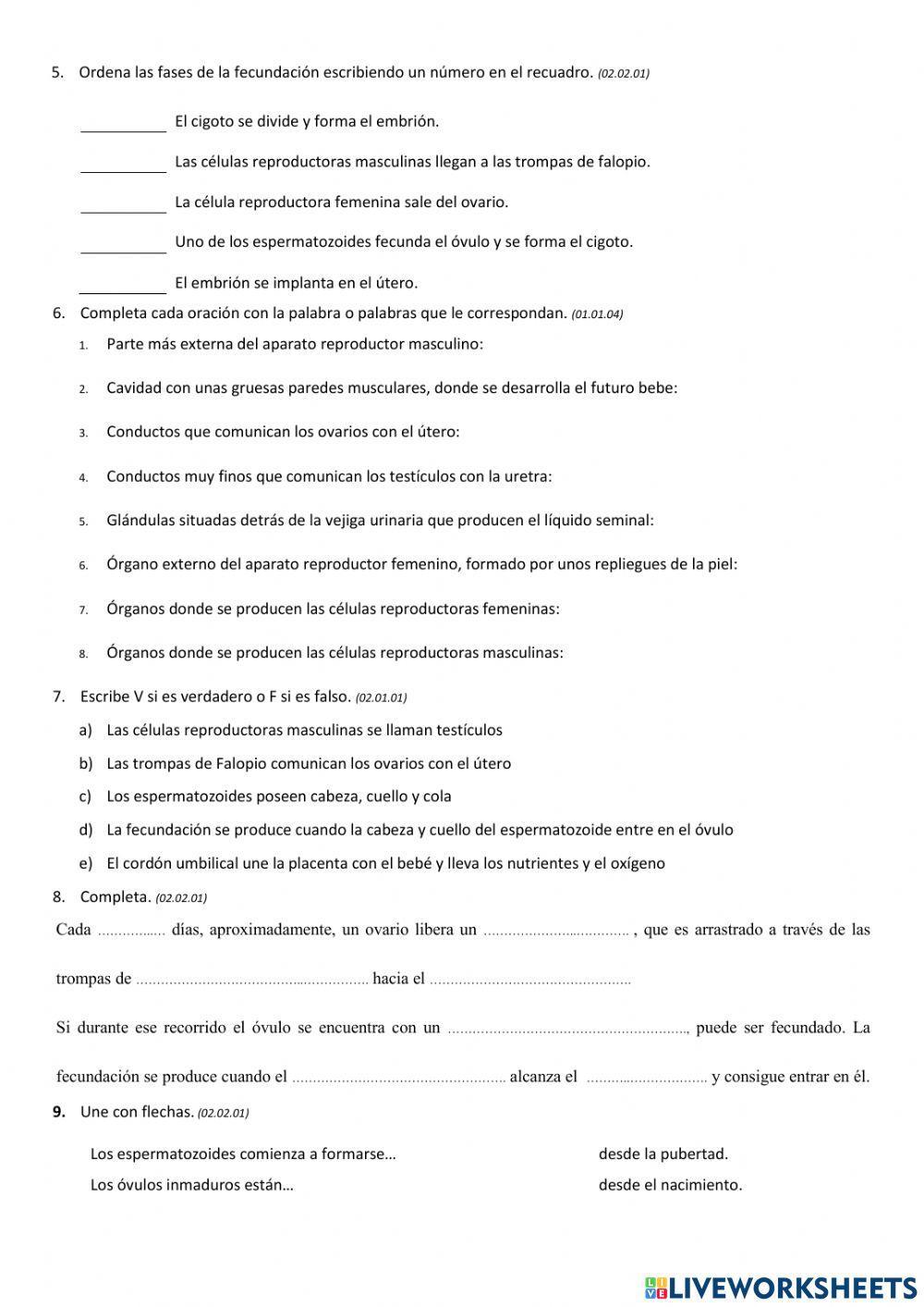 La reproducción humana