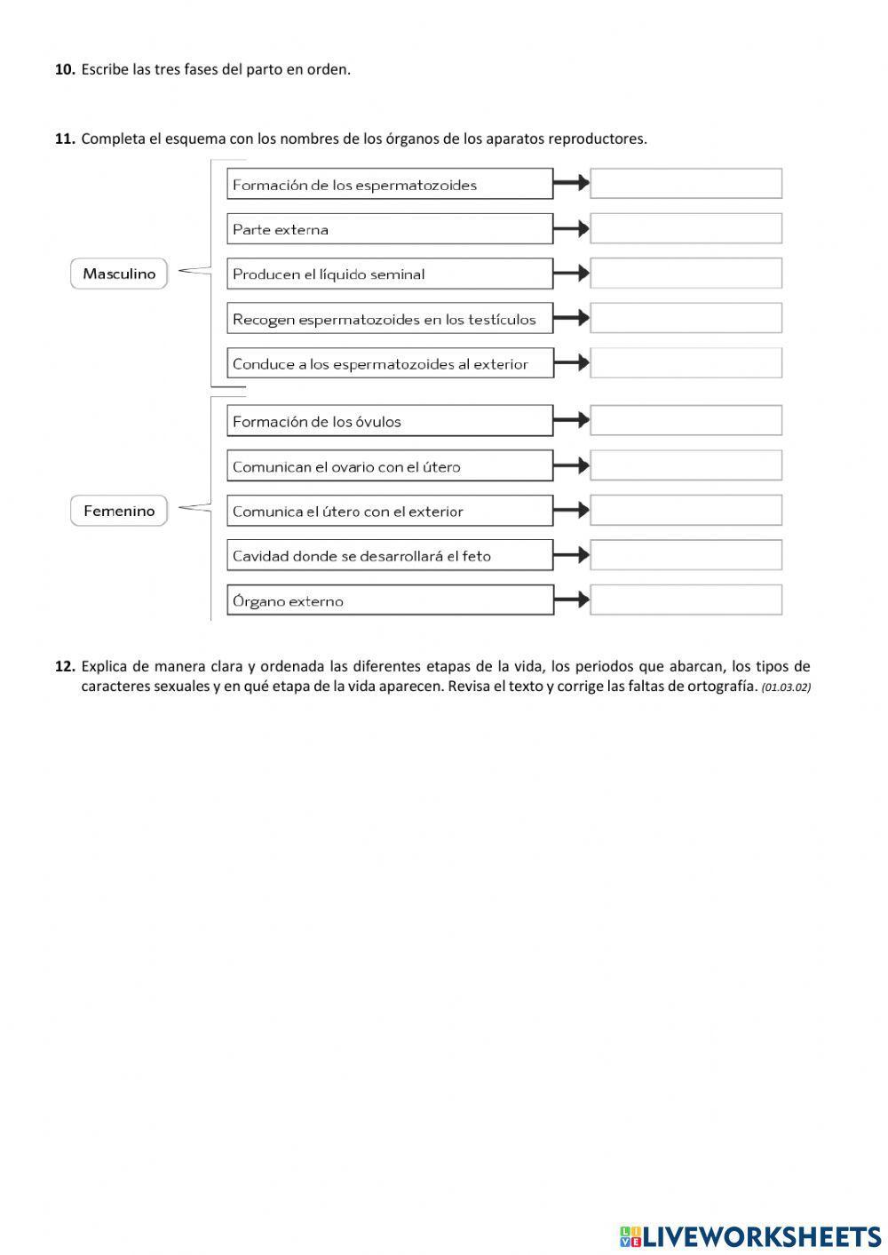La reproducción humana