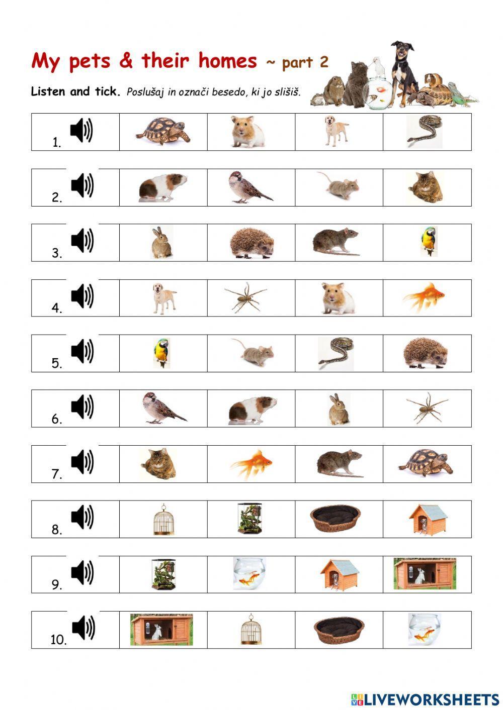 My pets and their homes - Part 2