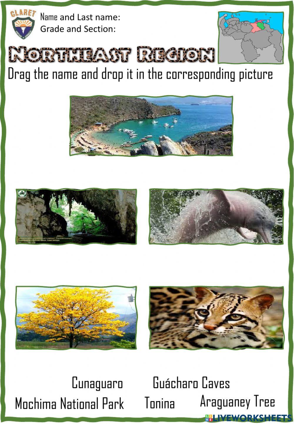 3rd. grade. Project week 9