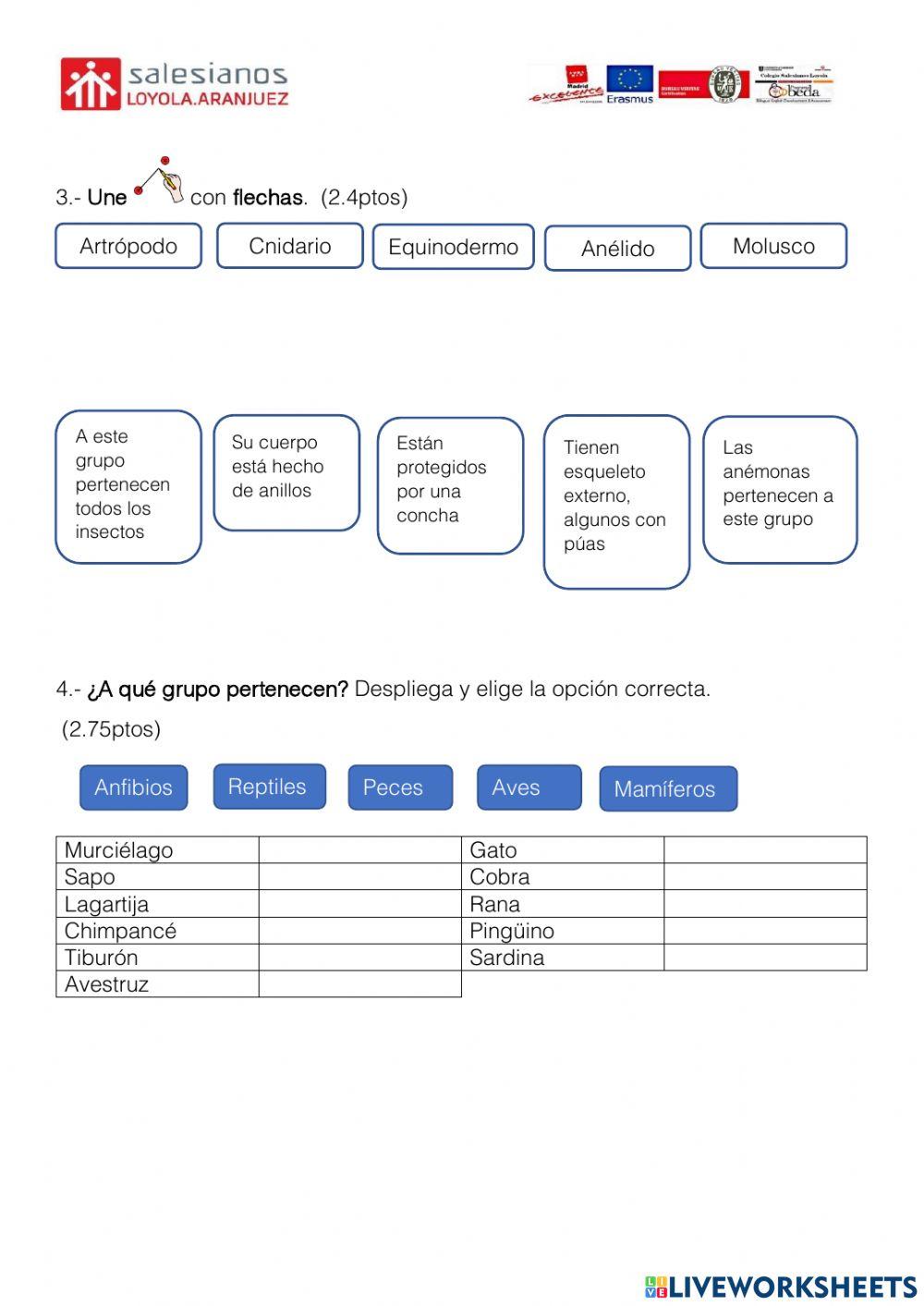 Examen Natu Clasificación Animales