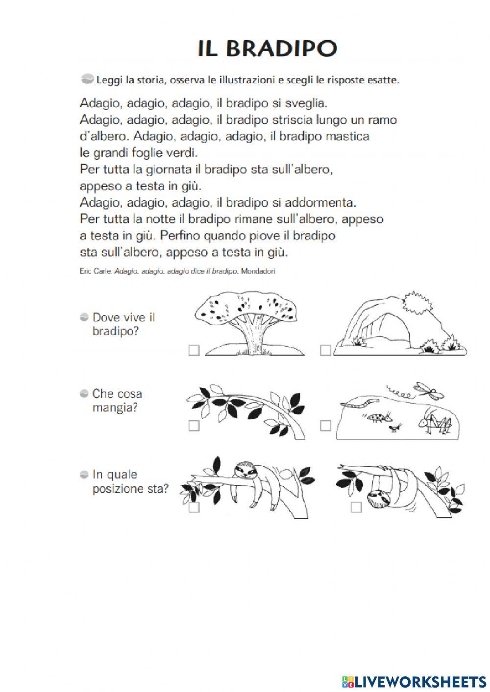 Testi per la comprensione