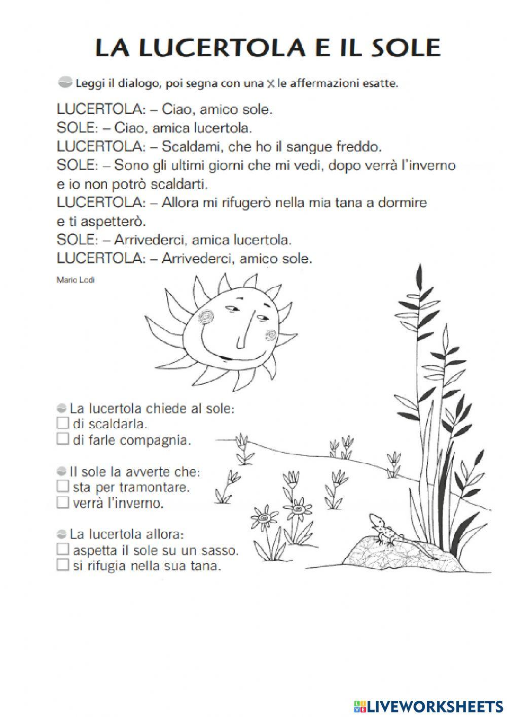 Testi per la comprensione