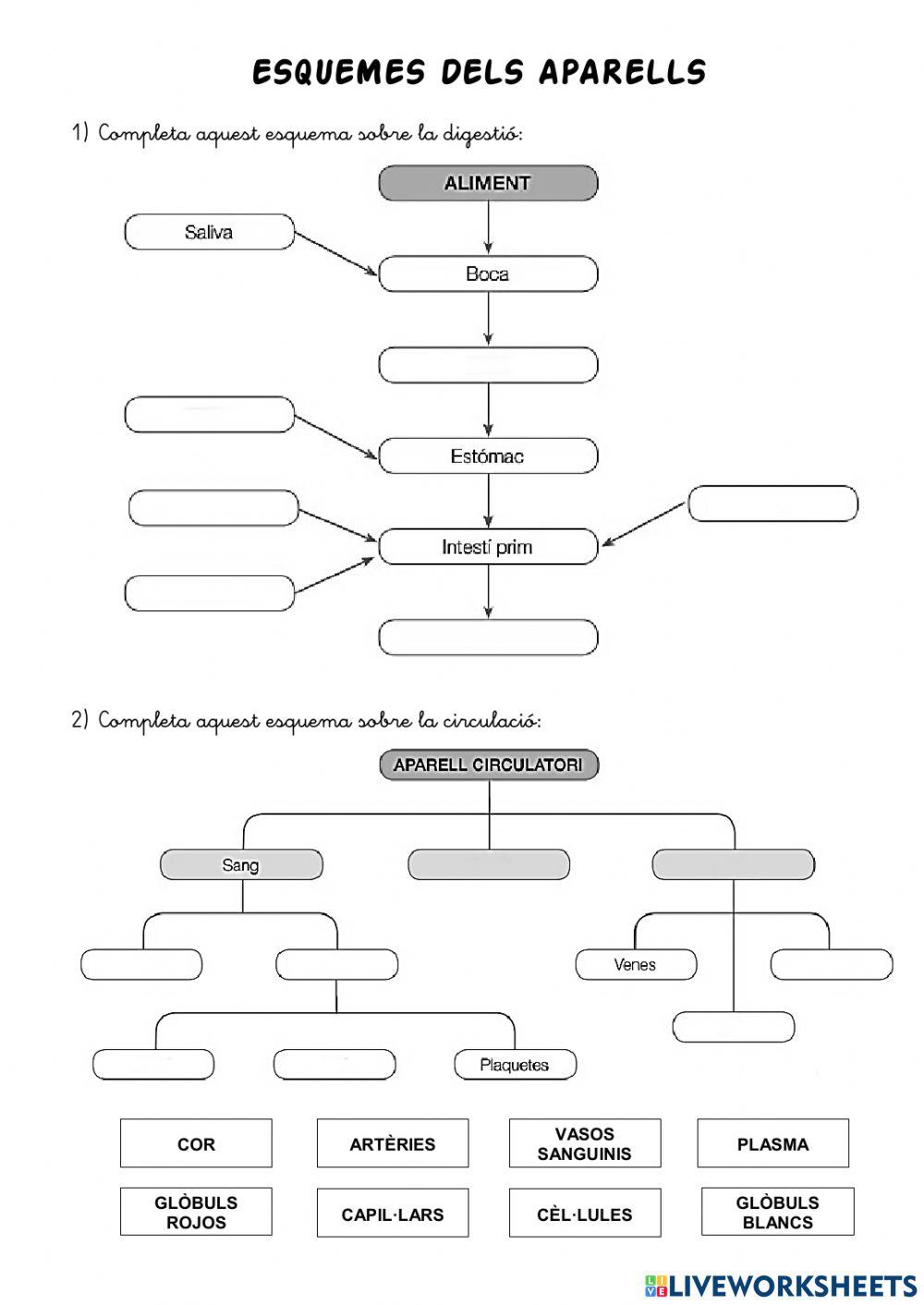 Esquemes dels aparells