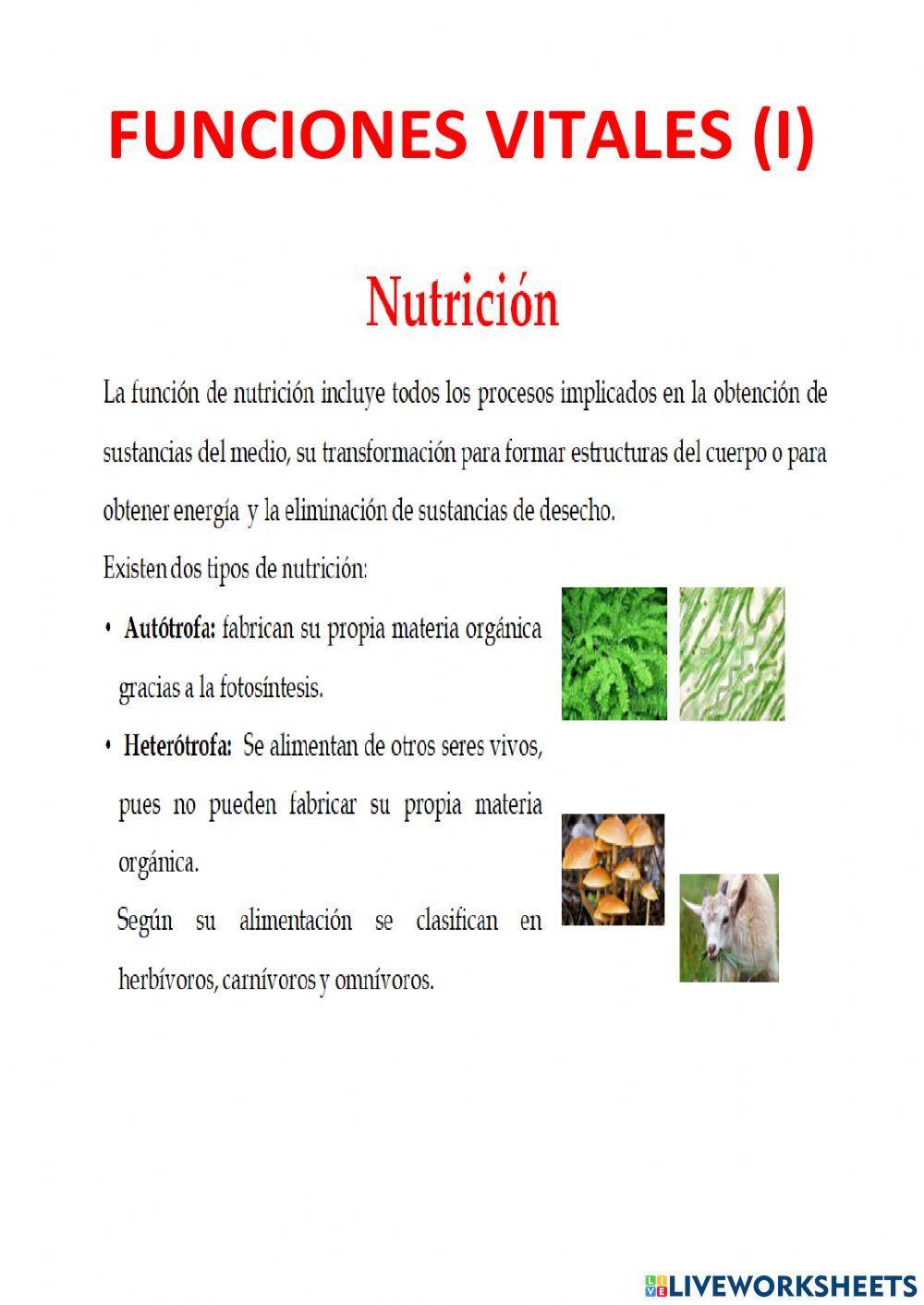 Función de nutrición