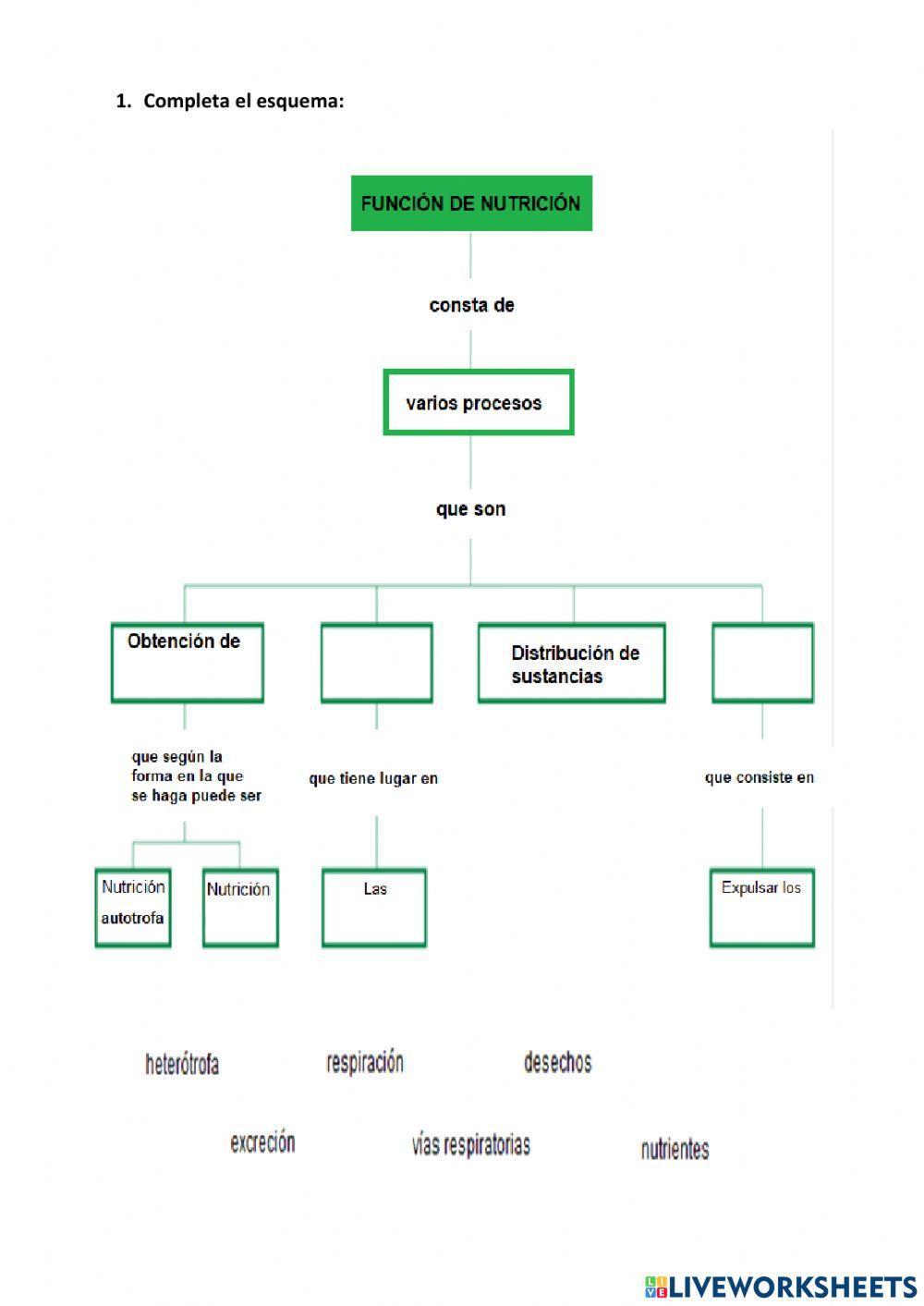 Función de nutrición