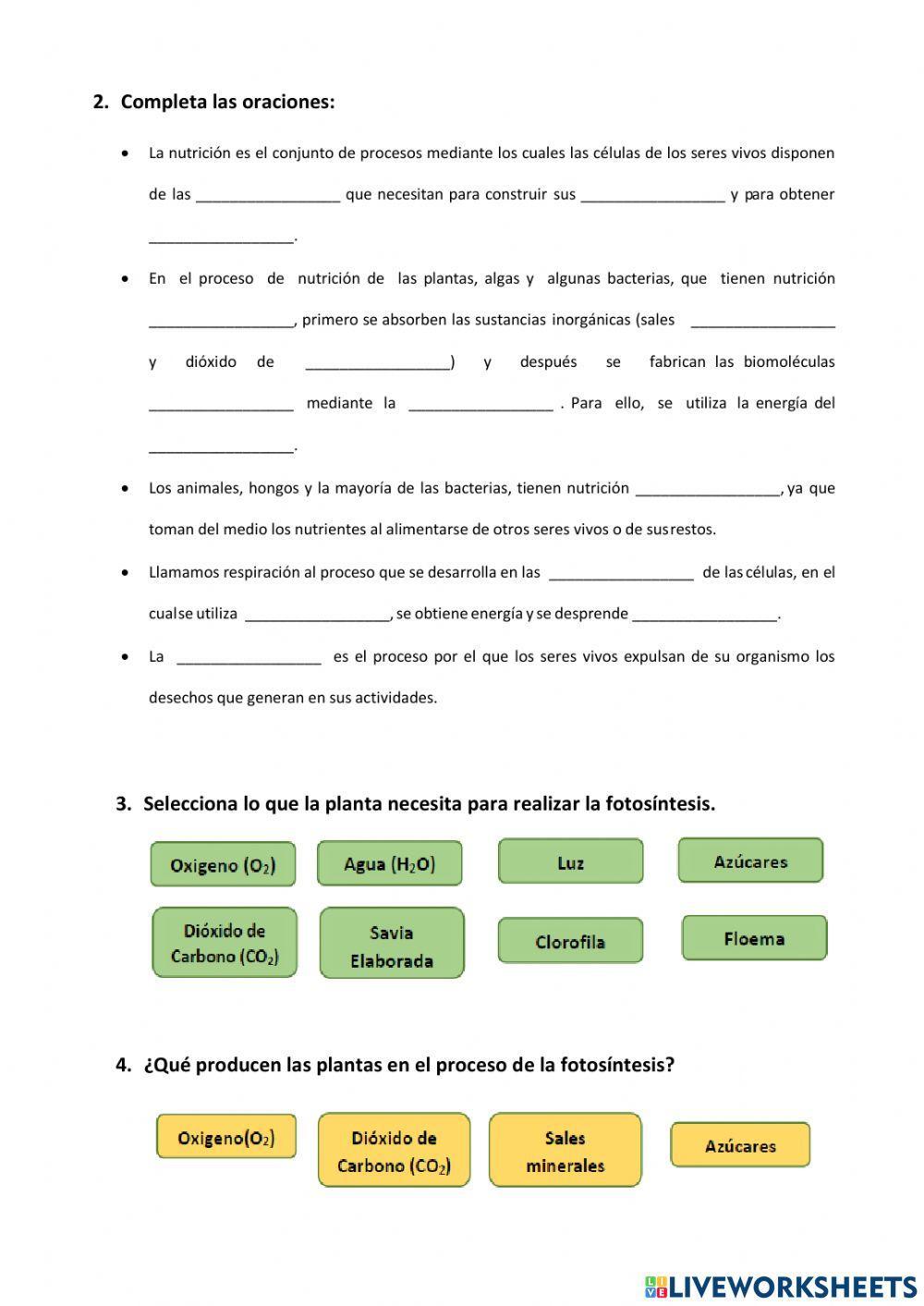 Función de nutrición