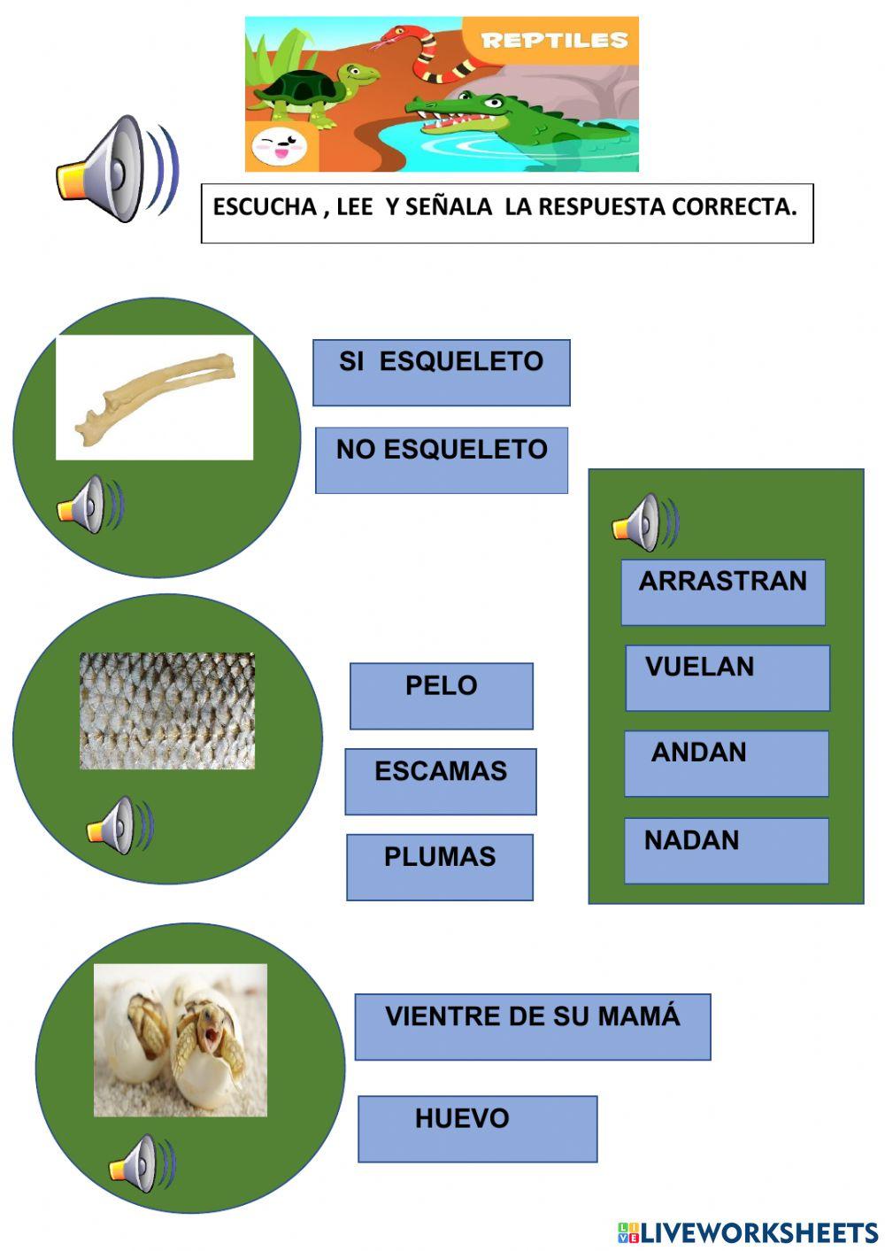 Características reptiles