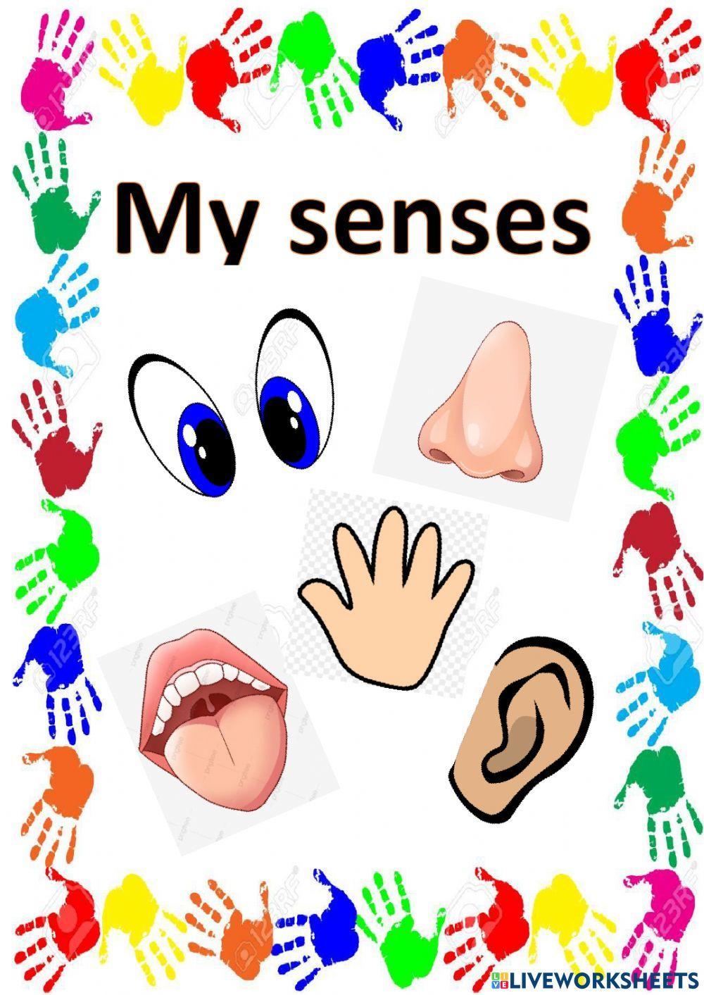My senses | Live Worksheets