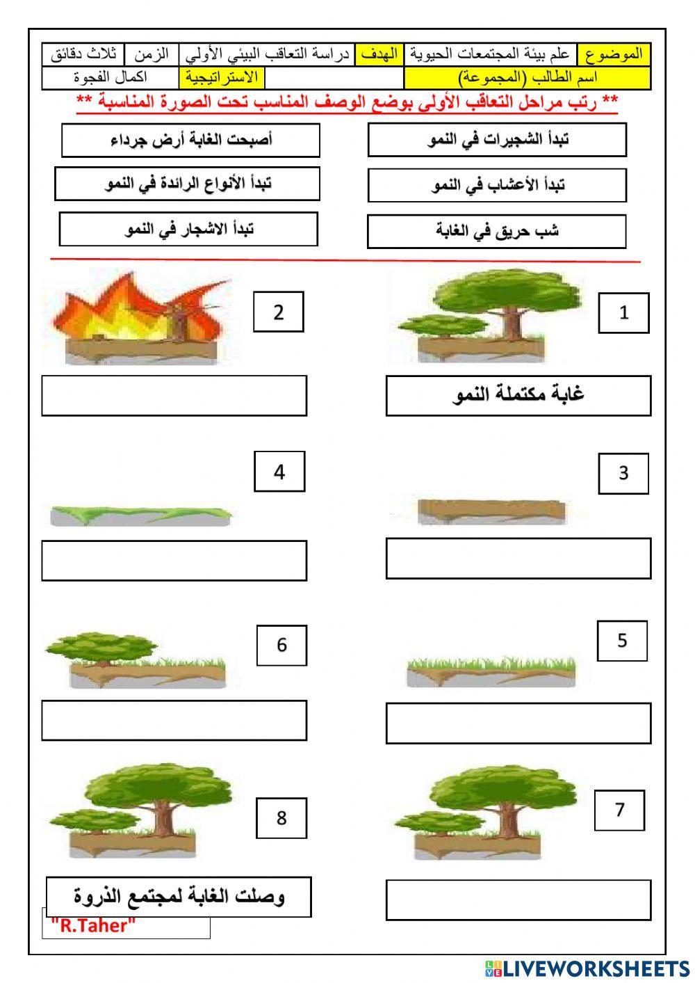 ورقة عمل التعاقي البيئي الاولي