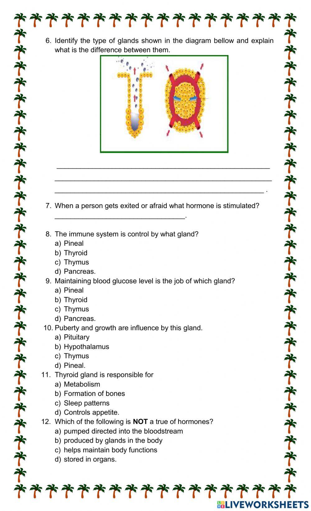 The Endocrine System