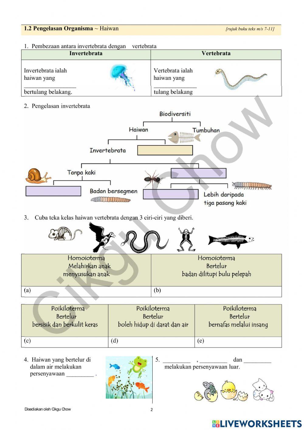 Modul bab 1 : biodiversiti