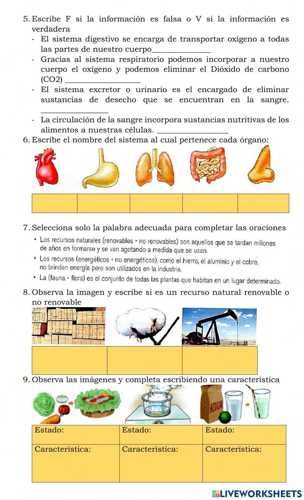 Taller de diagnostico ciencias 5º
