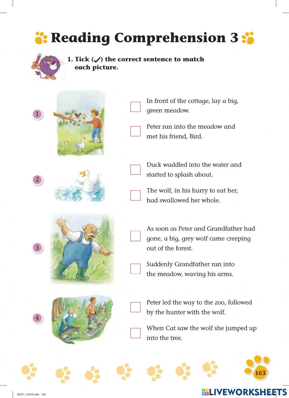 Peter and the Wolf Questions