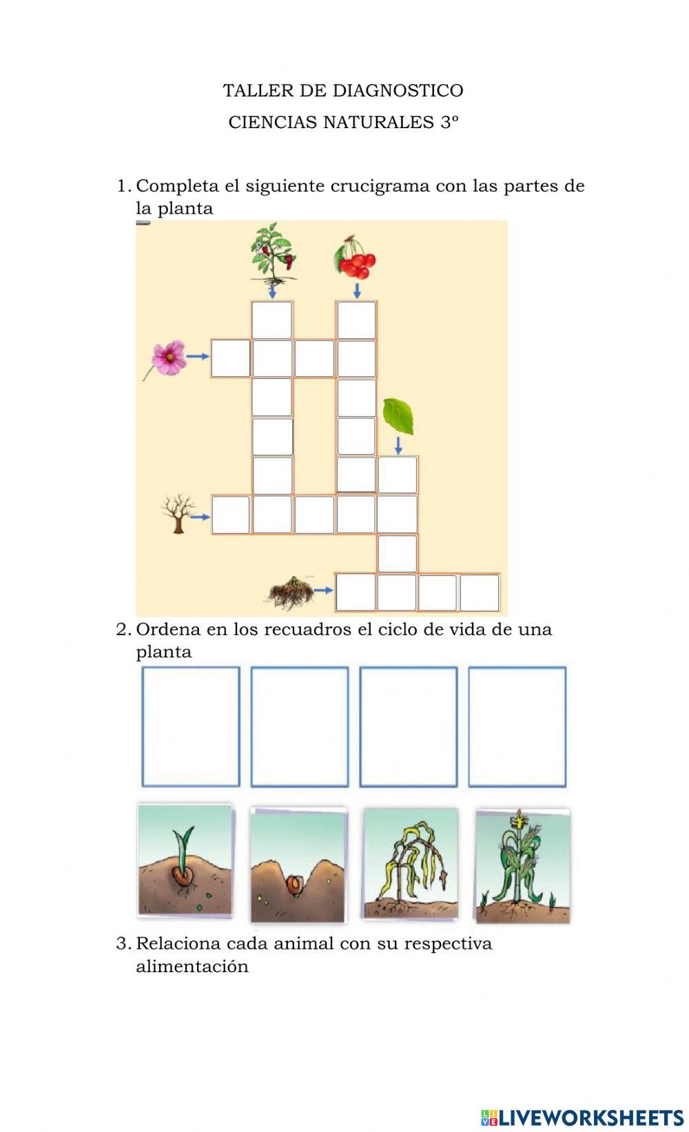 Taller de diagnostico 3º