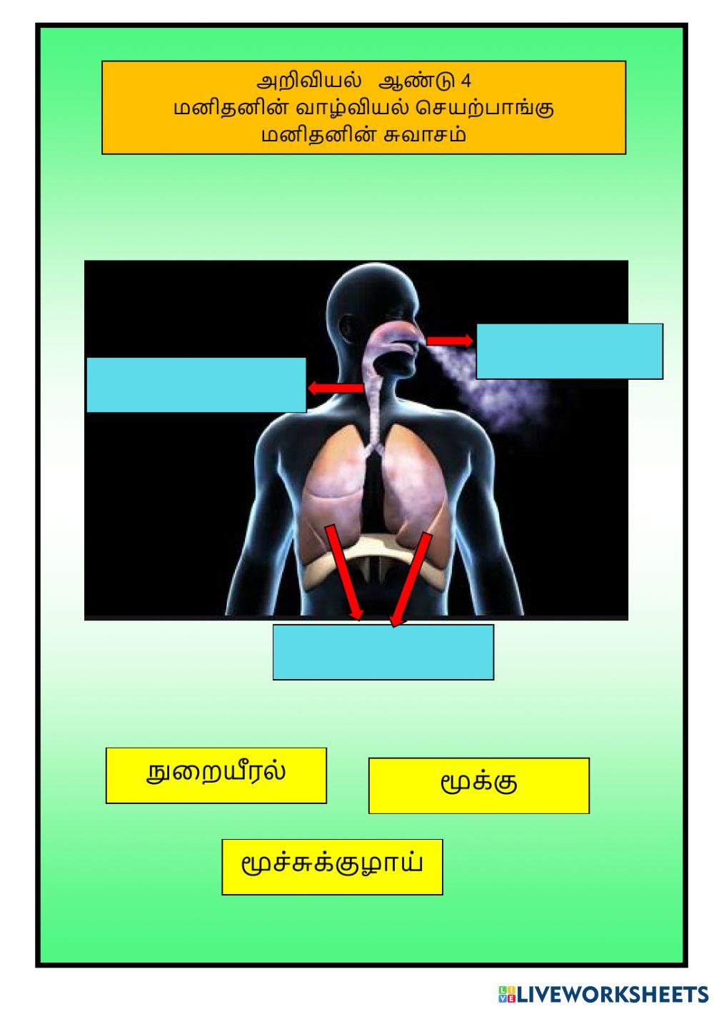 மனிதனின் சுவாசம்