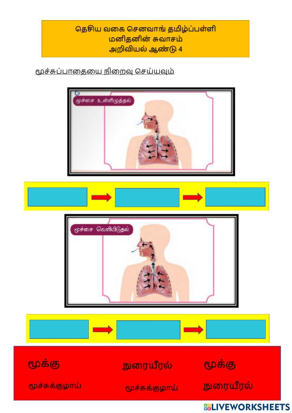 மனிதனின் சுவாசம்