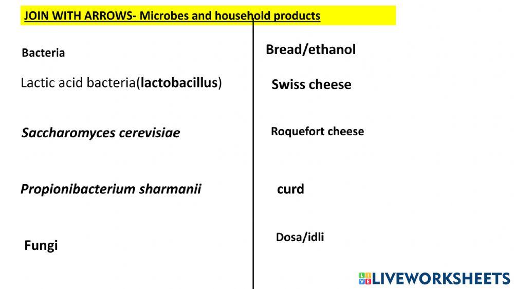 Household products and microbes