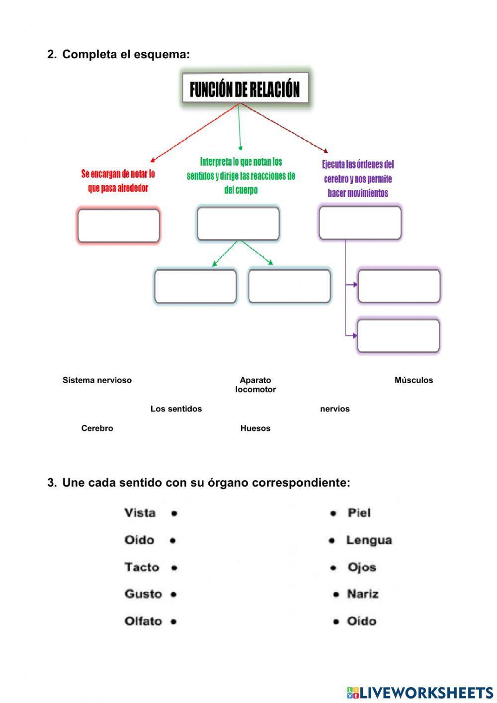Función de relación