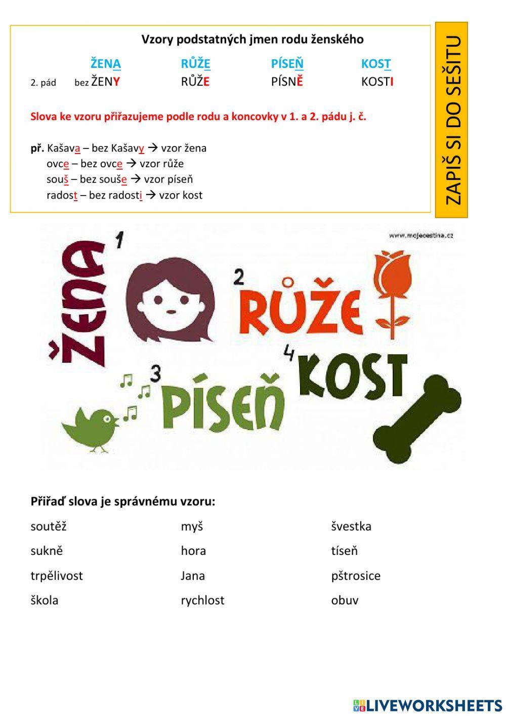 Vzory podstatných jmen rodu ženského