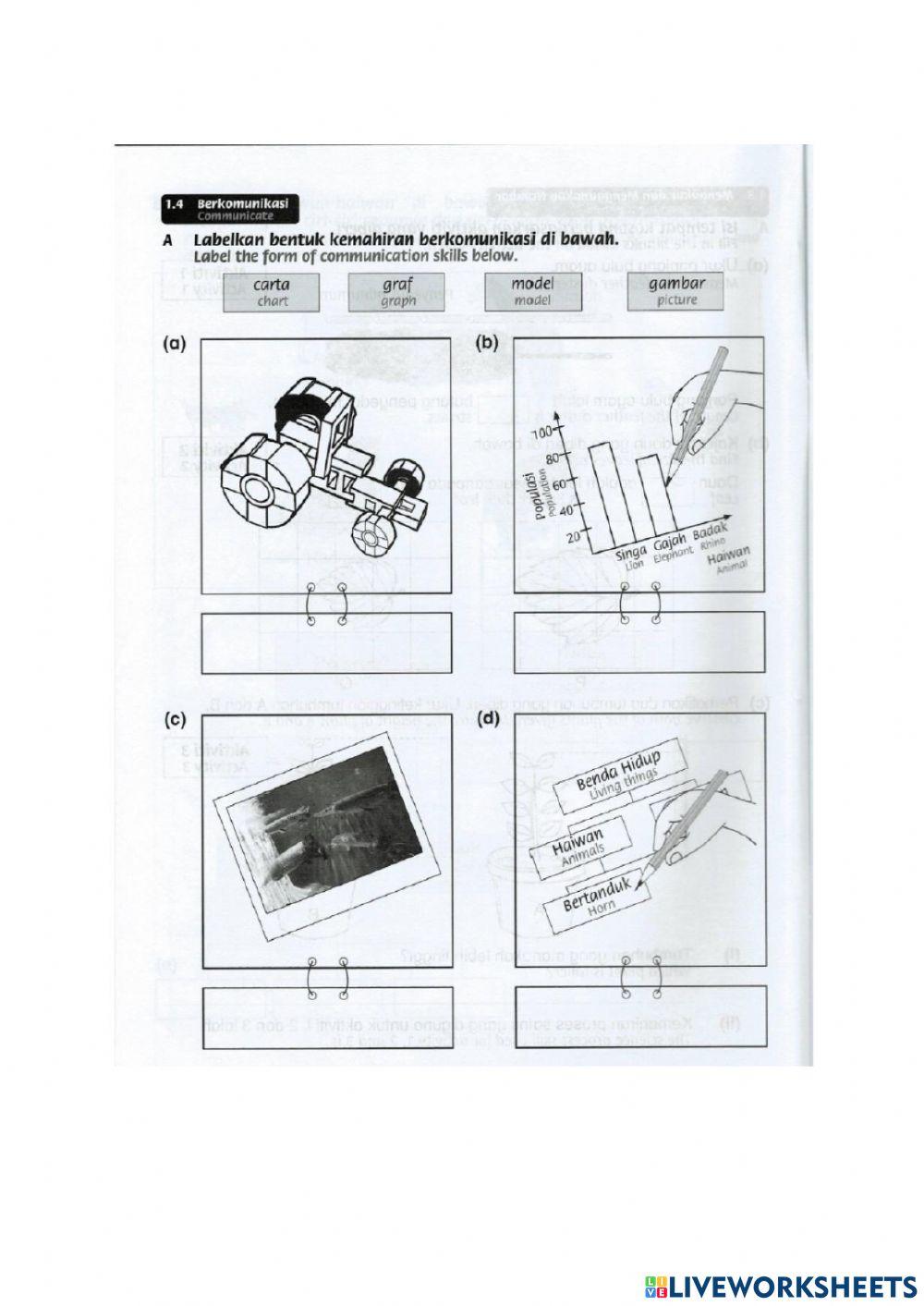 Scientific skills communicating