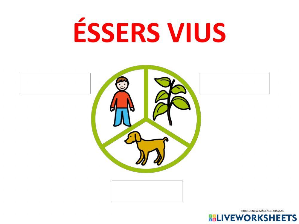 Classificació éssers vius