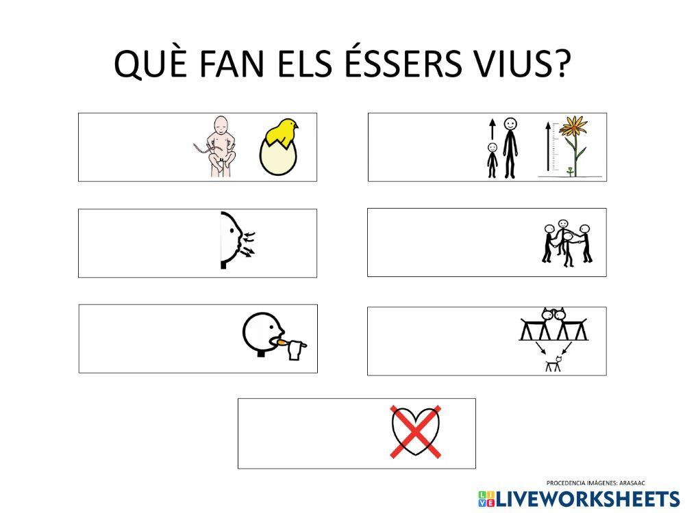Classificació éssers vius