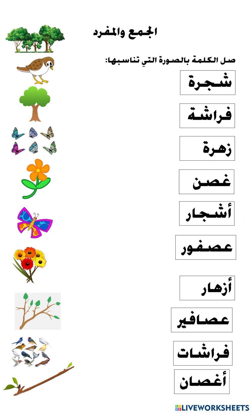 المفرد والجمع