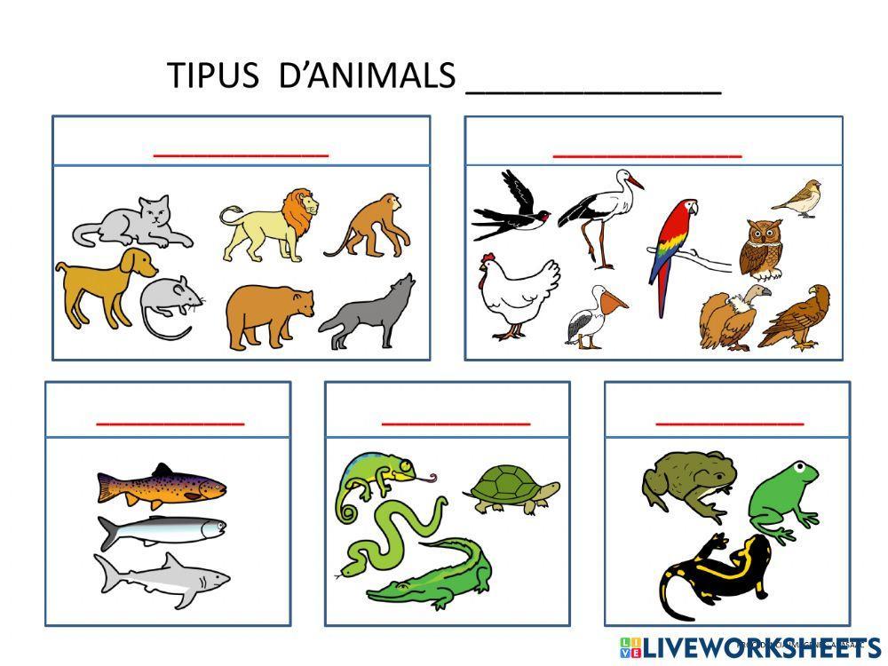 Classificació animals vertebrats