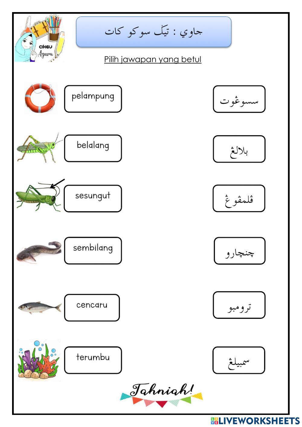 Jawi tahun 2: 3 suku kata