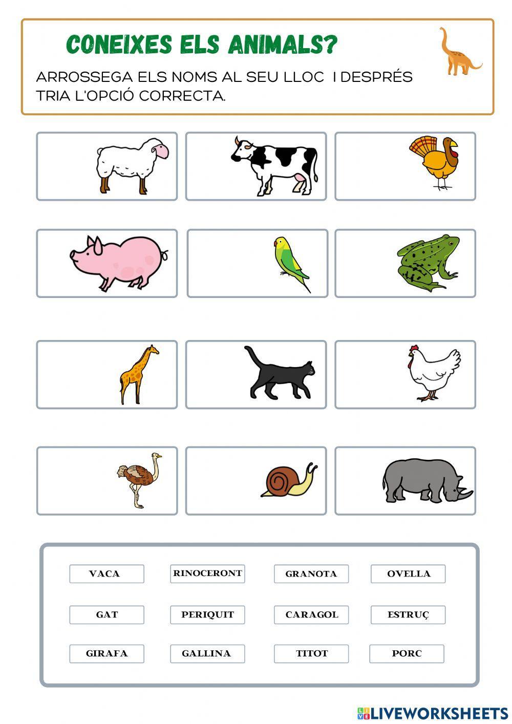 Animals domèstics i salvatges