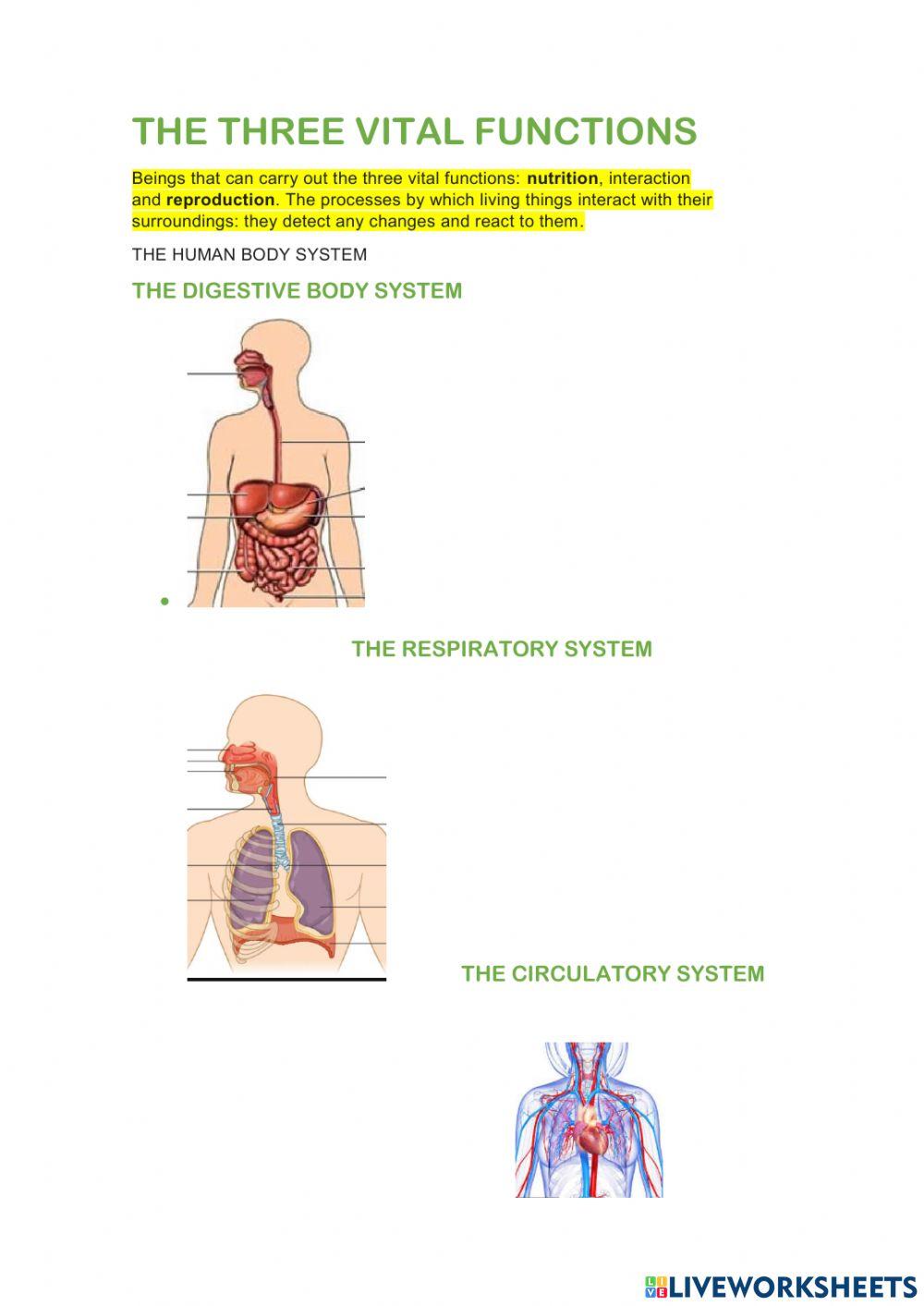 The three vital functions The three vital functions