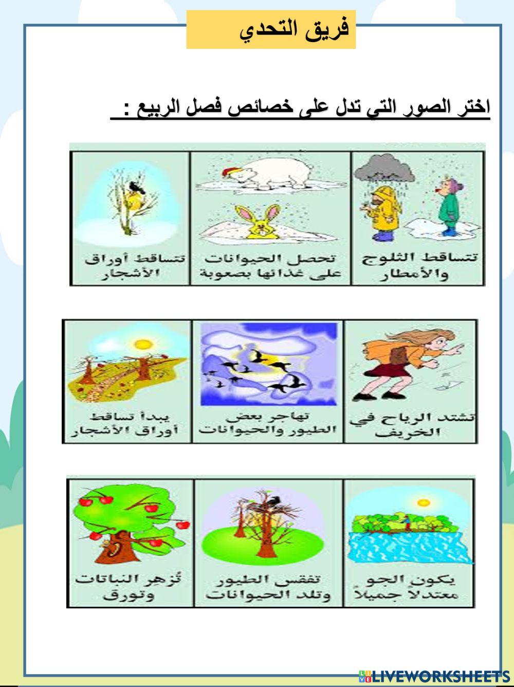 الربيع تحدي