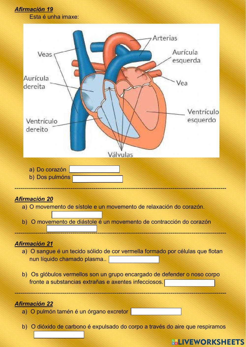 Control tema 5 naturais